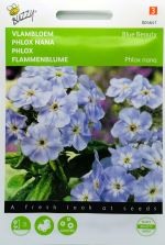 Phlox Blue Beauty Seeds
